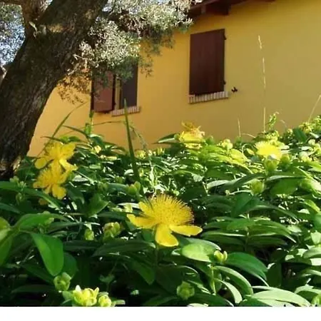 In Mit Grill Und Garten