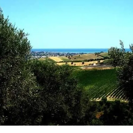 In Mit Grill Und Garten *